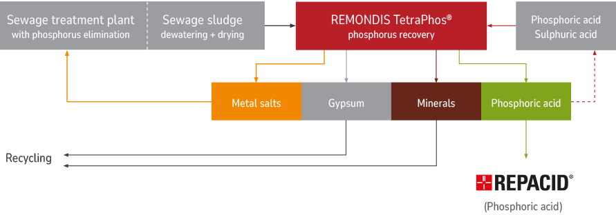 Graphic – the phosphorus recovery process