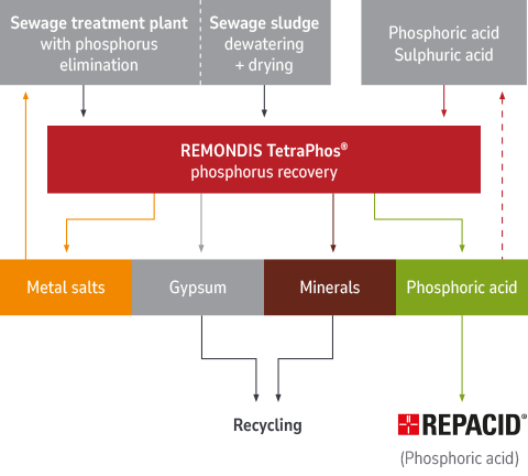 Graphic – the phosphorus recovery process